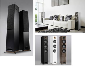 溫州原裝音箱 技術與品質的完美融合